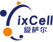 愛薩爾